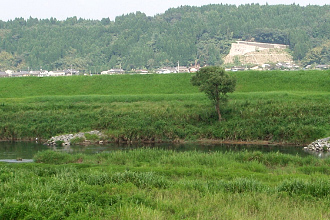 川内川 川添地区 水制工